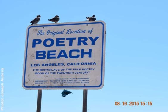 Poetry Beach
